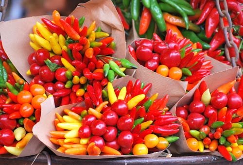 Peperoncino Più Piccante Del Mondo 2014